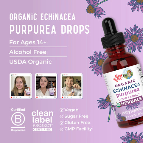 Organic Echinacea Purpurea Herbal Liquid Drops