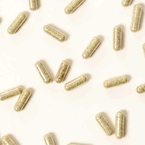 Probiotic Prenatal+