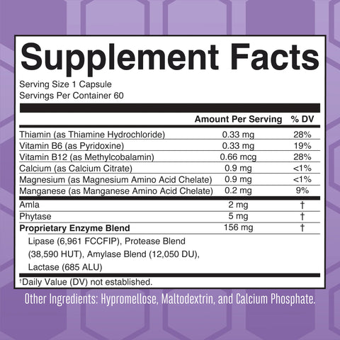 Lipase Protease Enzymes